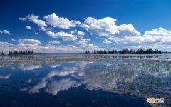 富含胆固醇的食物是什么 什么食物里面胆固醇含量高