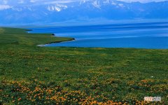 在家里螃蟹怎么养 家里养螃蟹吃什么食物