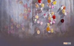 丁香泡茶喝能治胃病吗 丁香水的作用与功效