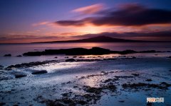 滴虫性***炎能彻底治愈吗 有什么办法彻底根除妇科病