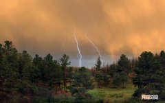 鸡胗鸭胗含胆固醇吗 哪些东西含胆固醇高