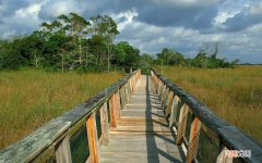 糖尿病人用胰岛素两个月后可改成药物治疗吗 怎样从打胰岛素改吃药