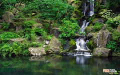 蜂房怎样吃最好 蜂窝怎么吃有什么功效