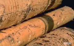 倒模膏应该怎么用 使用倒模后我瘙痒感