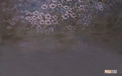 造血干细胞移植可以报销多少 造血干细胞移植视频