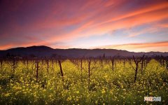 皮肤状态会变好吗 护肤要坚持多久才会有效果