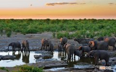 吐酒时呼吸不畅 喝酒喝吐了喝酸奶好吗