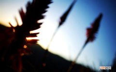 那应该去学点什么 32岁了还能学什么手艺