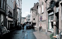 俄罗斯松果蜂蜜怎么吃 什么蜂蜜适合做菜