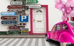 夏天应该吃些什么清淡一些的菜 病人吃的清淡营养食物菜谱