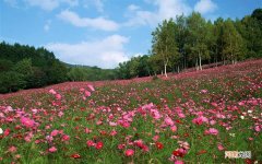 维生素e加面膜怎么用 维e怎么擦脸是正确的祛斑