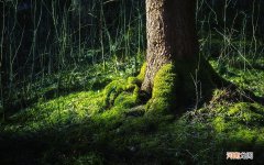 哪有什么运动方式或者食物可以提高男生功能 经常锻炼对性有好处吗