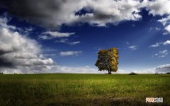 为什么面膜贴了之后还要清水洗净 敷面膜以后要洗脸吗