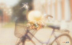 妇女在单位的重要性 女性在社会发展中的重要性