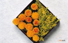 可以改善一下 如何才能不便秘