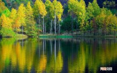 糖尿病病发症酮症酸中毒是什么症状 糖尿病脚发紫的图片