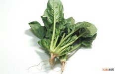 怎么去黑眼圈啊 有黑眼圈怎么消除最快方法