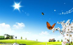 糖尿病足患者如何去护理 糖尿病足病照片