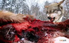 金霉素眼膏能治狐臭 金霉素眼膏可以止痒吗