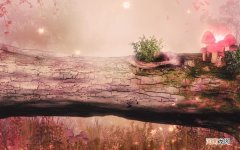 吃哪些食物对喝酒人的肝脏有好处 酒后护肝养胃最好方法