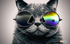 是降糖还是升糖 小米稀饭对血糖影响大吗