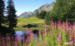 加拿大国籍的吴***在中国大量捞金 外国人泡中国女人