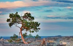 4招让你远离酒精肝 酒精肝恶化后什么症状