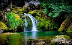 尿不尽的功效如何 女性漏尿吃缩泉丸好吗