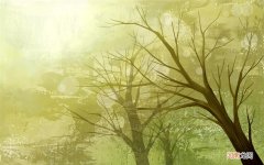 桂附地黄丸与金匮肾气丸的区别是什么 桂附地黄丸神奇功效