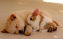 腿上出现黑癍是啥病 腿上长黑斑怎么回事