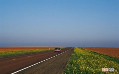 中餐菜名 中餐美食图片大全