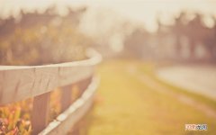 身上出现3痛2黑 指甲变黑是癌症图片