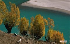 白血胞低是什么原因 白血球低可能是什么原因引起