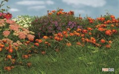 喝牛奶不能空腹喝吗 纯牛奶空腹可以喝吗