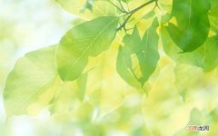 简单的男生护肤步骤是什么 男生保养皮肤的方法步骤