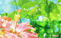 糖尿病人吃什么零食 2型糖尿病可以吃什么零食