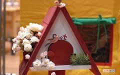 原发性糖尿病和继发性糖尿病的区别有哪些 2型糖尿和1型怎么分别