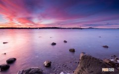 椒盐剥皮虾的做法 啤酒配皮皮虾