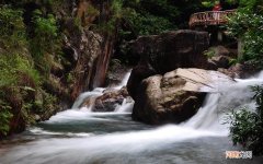 红枣可以一起泡水喝吗 纯奶和枸杞能一起用吗