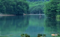 伊利纯牛奶和高钙奶哪个好 纯牛奶是高钙的好还是脱脂的好