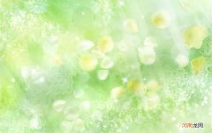 冰糖炖雪梨 炖品的100种做法甜品