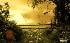 陕西中医学院益气聪明丸多少钱一盒 益气聪明汤医案籍