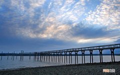 化妆品美容知识必看的书 自学皮肤科医学看什么书