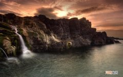 当归价位是多少 当归多少钱一斤