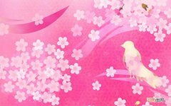 电饭煲稀饭和粥的功能区别 美的电饭煲煮粥和稀饭