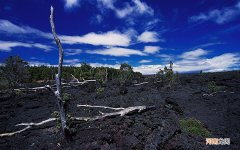 冬季养生方法一样吗 冬天养生健康小知识