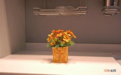 新生儿喝牛奶喝多了怎么办 一下子喝太多牛奶会怎么样