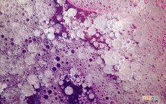 瑜伽缩阴的具体动作是什么 瑜伽哪些动作收阴