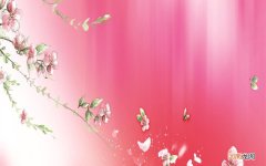 男人常吃什么能提高战斗力 吃什么快速提高性功能