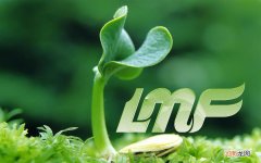 总胆固醇461甘油三脂461算高脂血症吗 生化胆固醇和甘油三酯